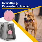 SmartTag – גלאי מיקום חכם למציאת חפצים, מפתחות וחיות מחמד בלחיצת כפתור
